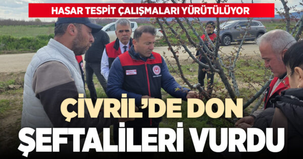 Çivril’de don etkisi: Şeftali ağaçları etkilendi