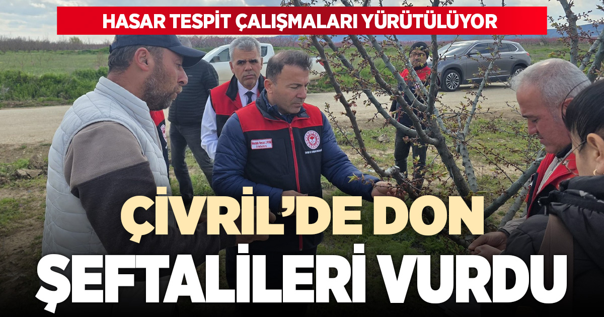 Çivril’de don etkisi: Şeftali ağaçları etkilendi