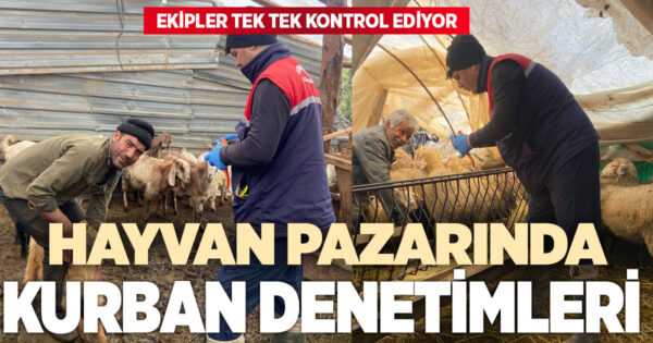 Kurban bayramı öncesi Denizli’de sıkı denetim