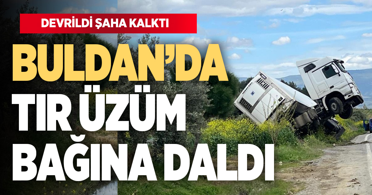 Bağa giren tır şaha kalktı