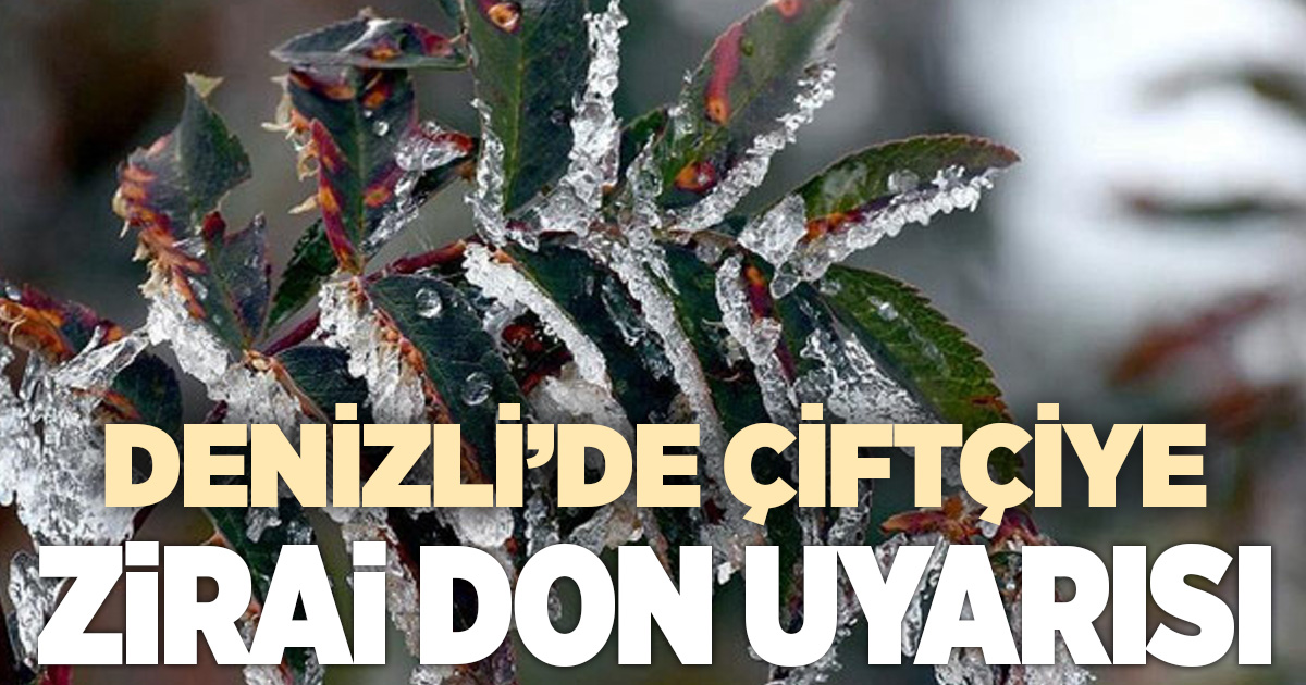Denizli’de zirai don uyarısı: Üreticilere kritik çağrı