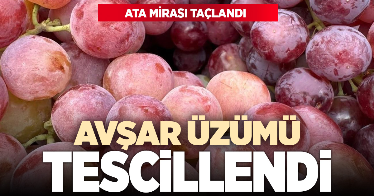 Acıpayam Avşar Üzümü Tesciliyle Ata Mirası Taçlandı