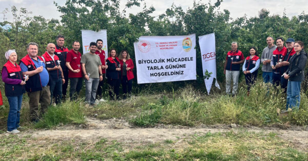 Pamukkale’de ayva bahçelerinde biyolojik mücadele çalışması