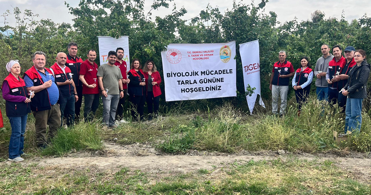 Pamukkale’de ayva bahçelerinde biyolojik mücadele çalışması