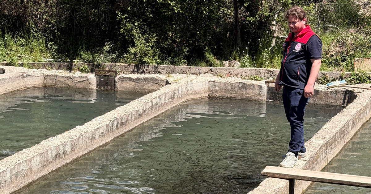 Sofraya güvenli balık için sıkı denetim