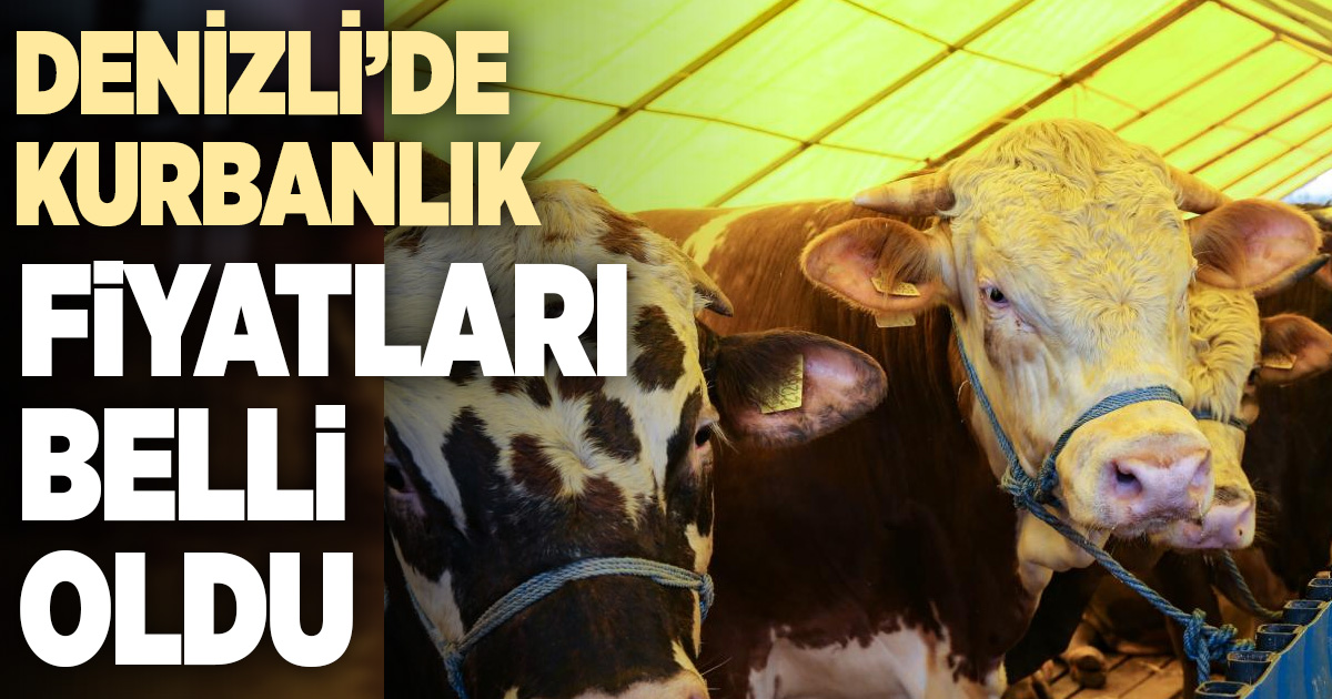 Denizli’de kurbanlık fiyatları belli oldu
