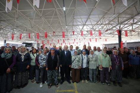 Denizli Büyükşehir 6 bin 317 yetiştiriciye yem desteği sağladı