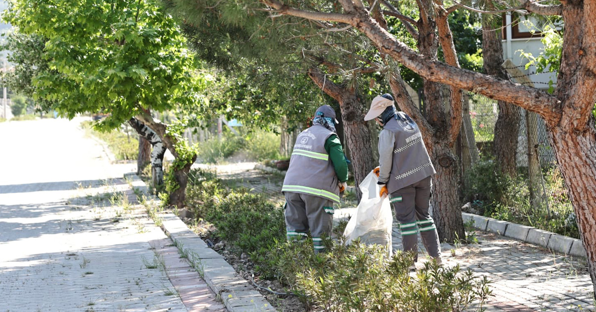 Pamukkale’de 823 kilometrekarelik alanda yabani ot mesaisi