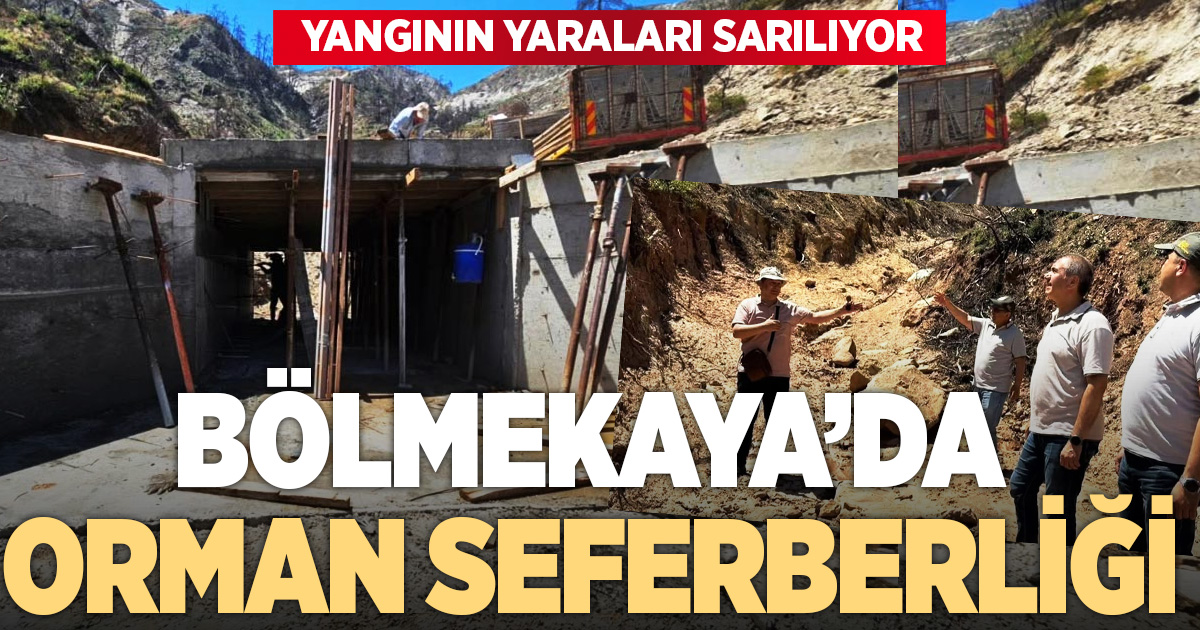 BÖLMEKAYA’DA ORMAN SEFERBERLİĞİ