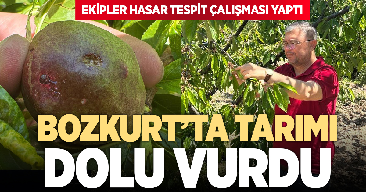Bozkurt’ta tarım arazilerini dolu vurdu