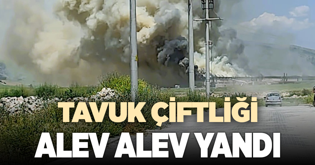Tavuk çiftliği alevlere teslim oldu