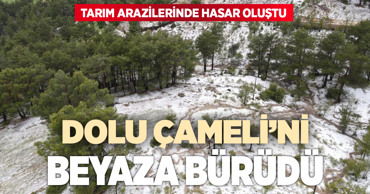 Çameli'de dolu yağışında seralar ve tarlalar saniyeler içinde beyaza büründü