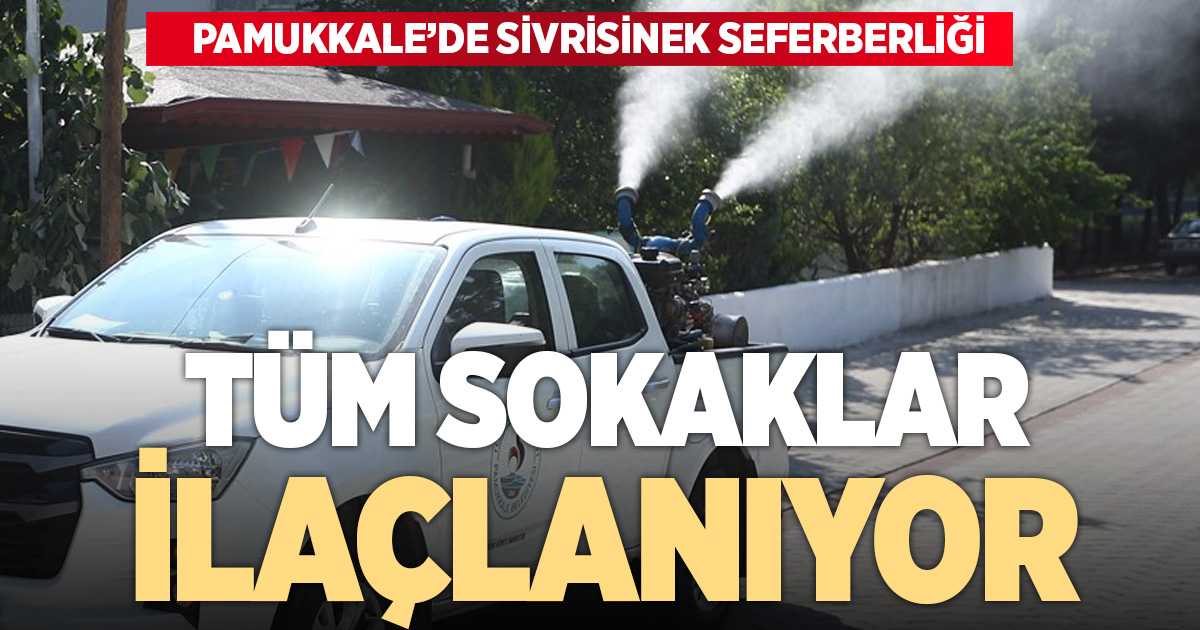 Pamukkale’de sivrisineğe geçit yok