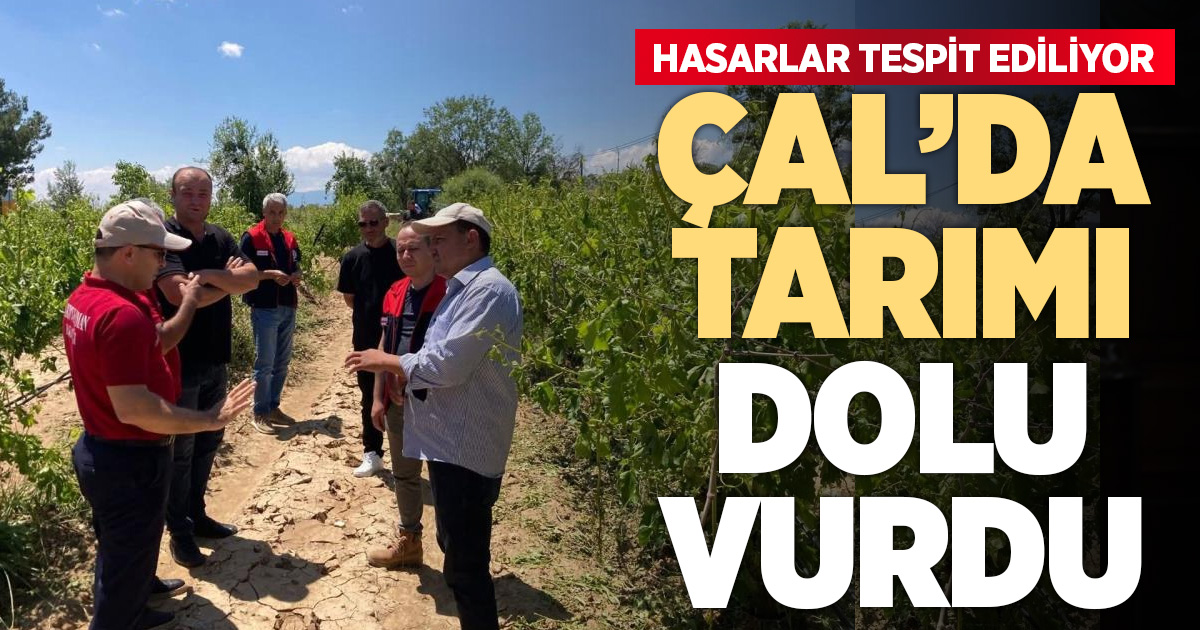 Çal’da dolu yağışı ürünlere zarar verdi