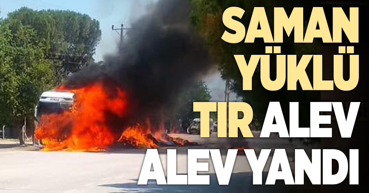 Sarayköy’de saman yüklü tır alev alev yandı