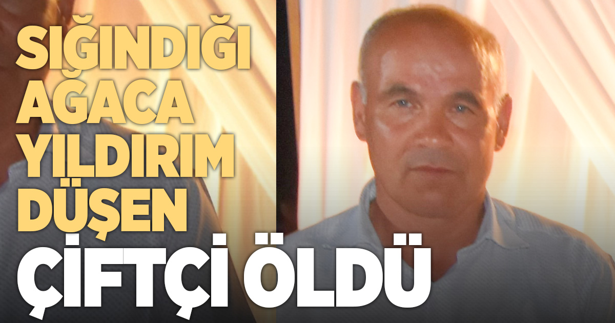Sığındığı ağaca yıldırım düşen çiftçi hayatını kaybetti