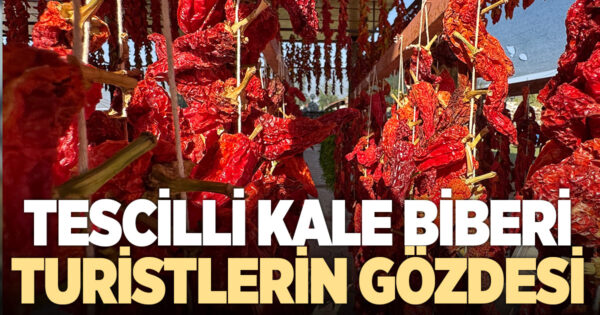 Tescilli Kale Biberi tatar ve cips olarak damakları şenlendiriyor