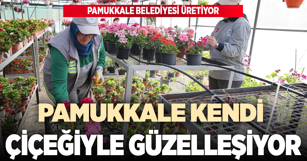 PAMUKKALE BELEDİYESİ ÜRETİYOR, PAMUKKALE KENDİ ÇİÇEĞİYLE GÜZELLEŞİYOR