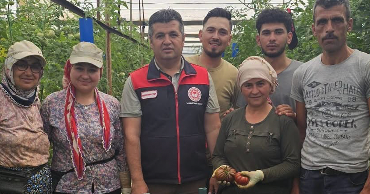 Denizli’de örtü altı üreticilerine teknik destek sürüyor
