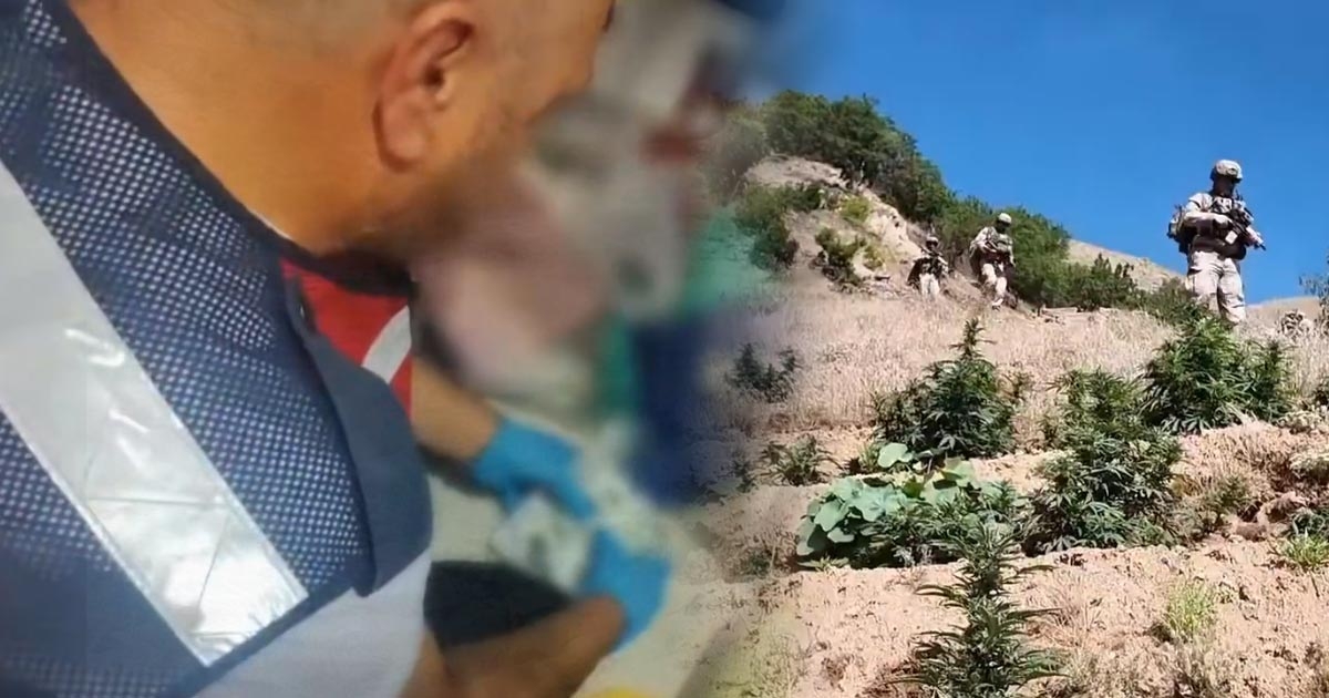 JANDARMA’DAN ZEHİR TACİRLERİNE OPERASYON