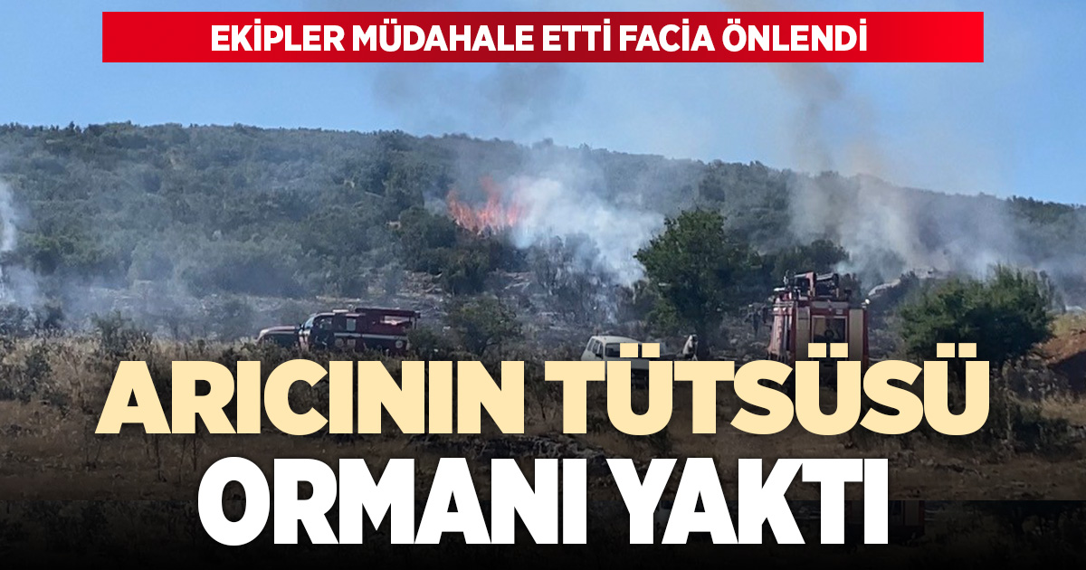 Arıcının tütsüsü ormanı yaktı