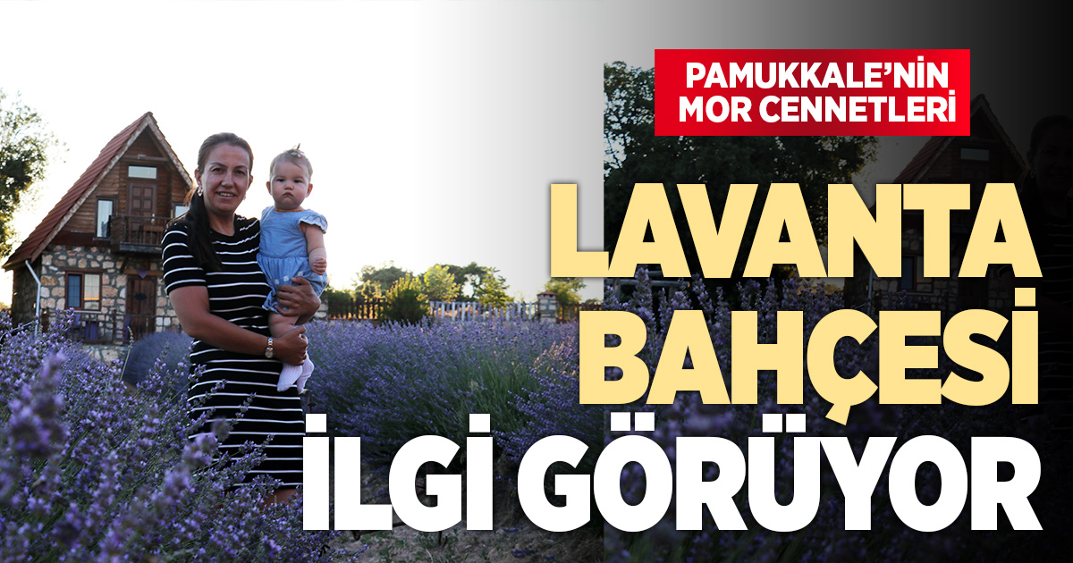 Denizli'nin mor cenneti lavanta bahçesi hasat öncesi yerli ve yabancı turistlerin uğrak noktası oldu