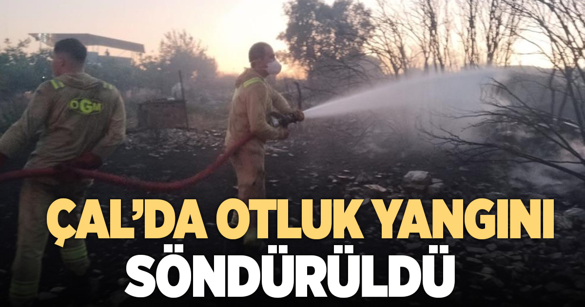 Çal’da otluk bölgede çıkan yangında 7 hektar alan zarar gördü