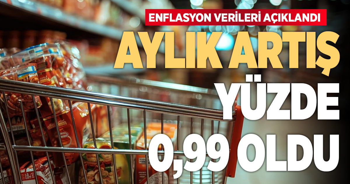 AYLIK ARTIŞ YÜZDE 0,99 OLDU