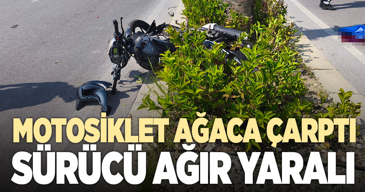 Denizli'de ağaca çarpan motosikletin sürücüsü ağır yaralandı