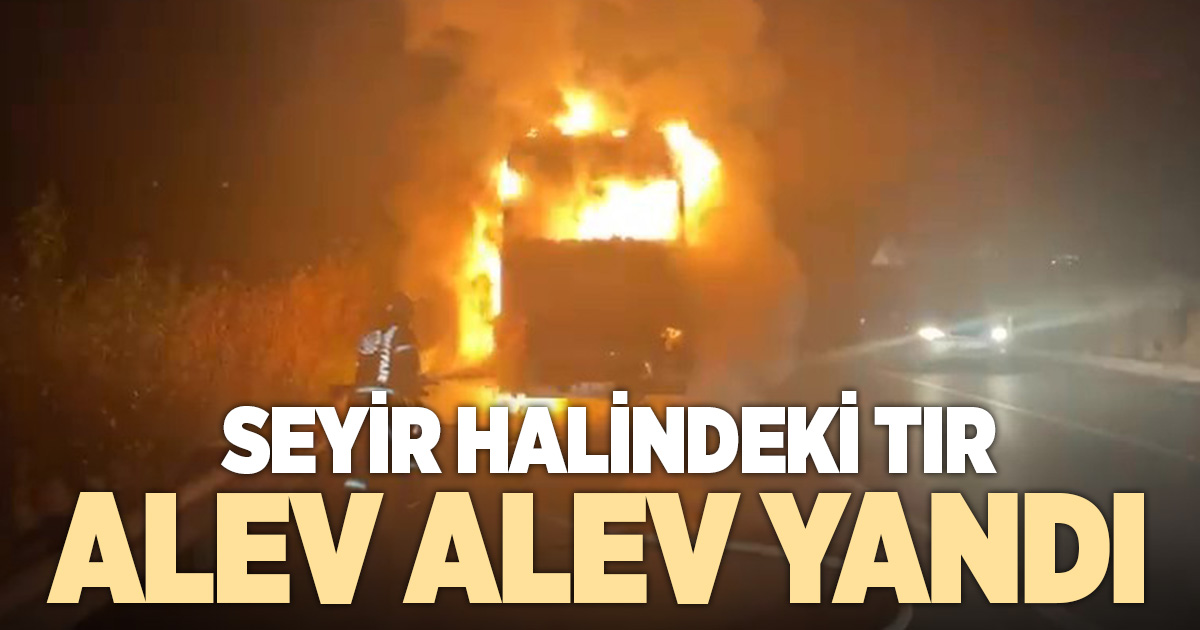 Denizli'de seyir halindeki tır alev alev yandı