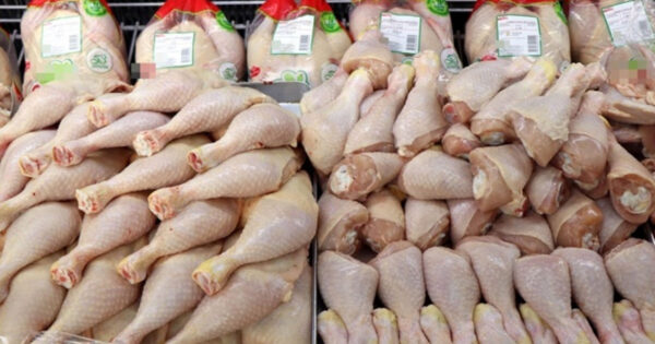 Tavuk eti üretimi 5 ayda düşüşe geçti