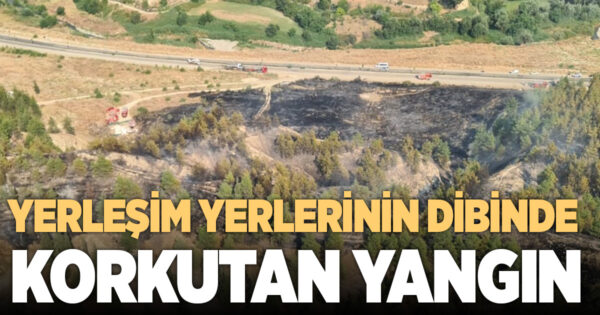Yol kenarında başlayıp ormana sıçrayan yangın hızlı ve etkin müdahaleyle büyümeden söndürüldü