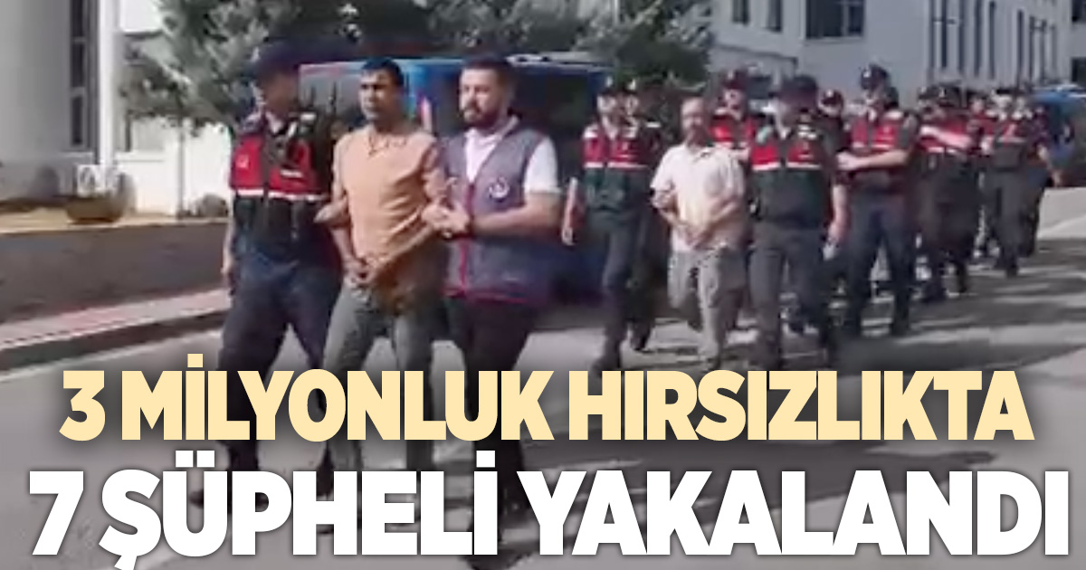 Denizli'de hırsızlık operasyonunda 7 şüpheli gözaltına alındı