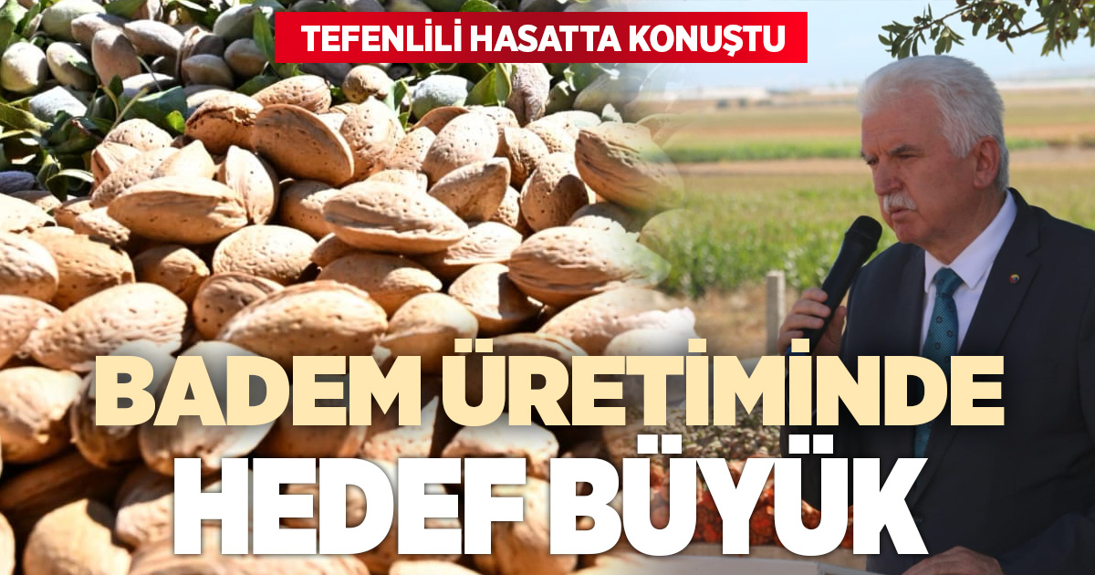 Bademde düşüşe karşı çözüm arayışı: Denizli cevizdeki modeli örnek alacak
