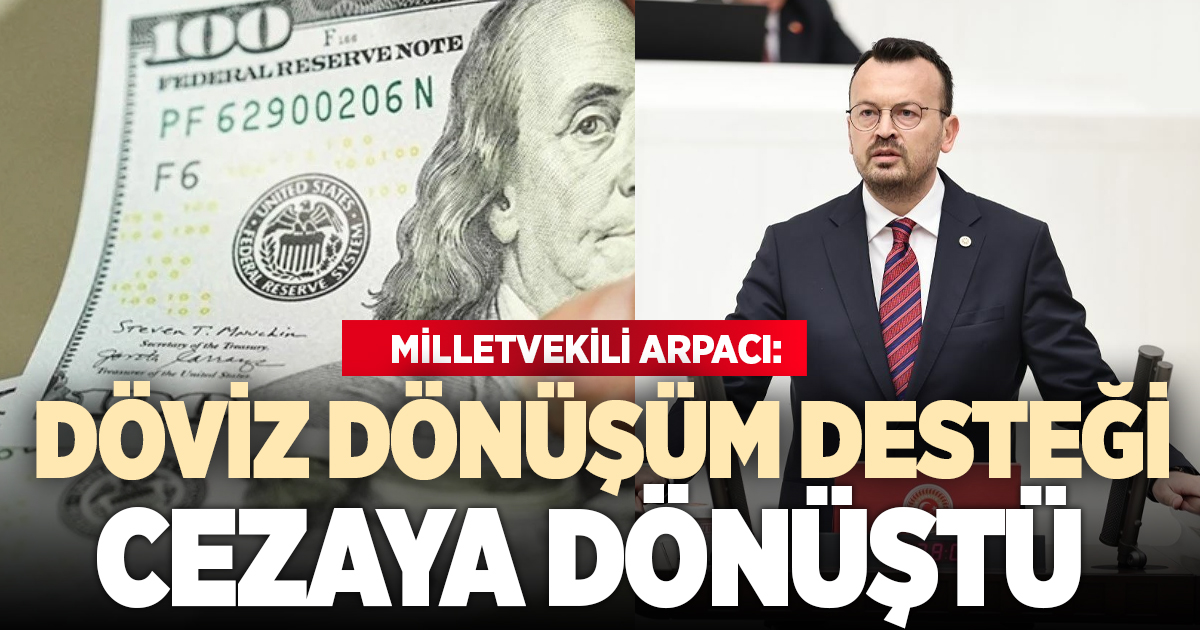 Yeni Parti Milletvekili Arpacı’dan döviz dönüşüm desteği tepkisi