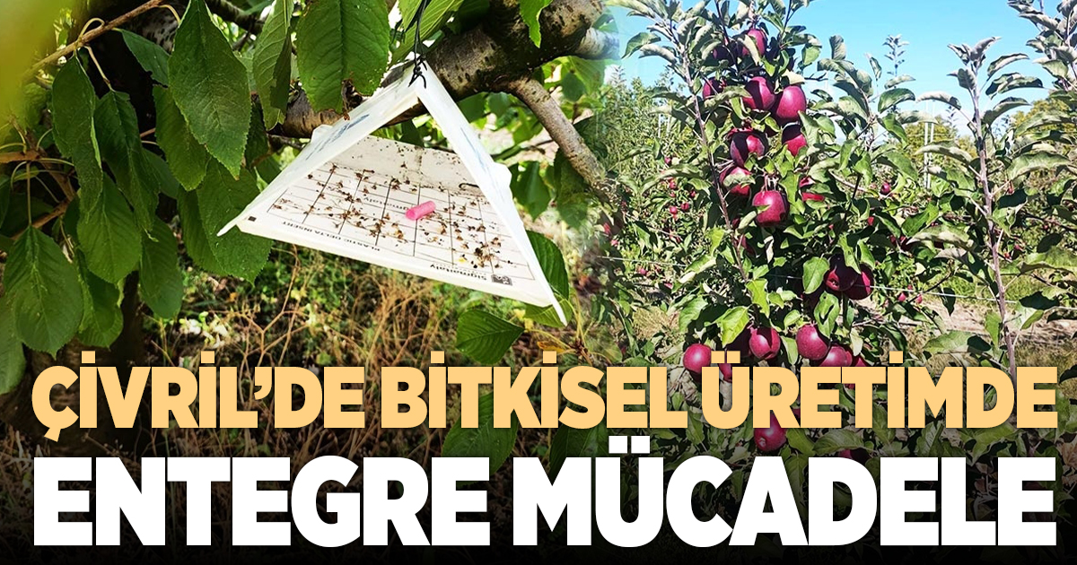 ÇİVRİL’DE BİTKİSEL ÜRETİMDE ENTEGRE MÜCADELE