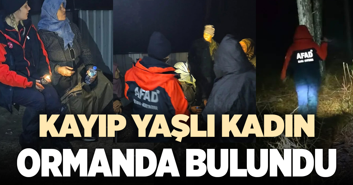 Ormanda kaybolan yaşlı kadın sağ olarak bulundu
