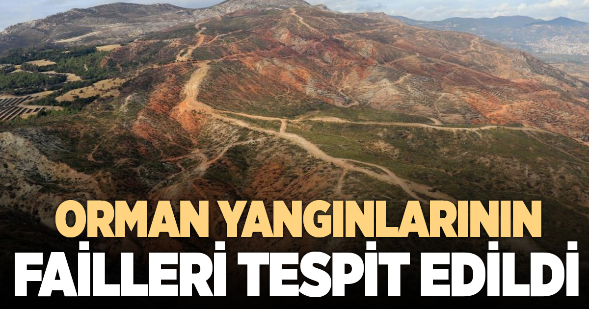 Denizli'de 59 orman yangını çıktı, 23'ünün faili tespit edildi