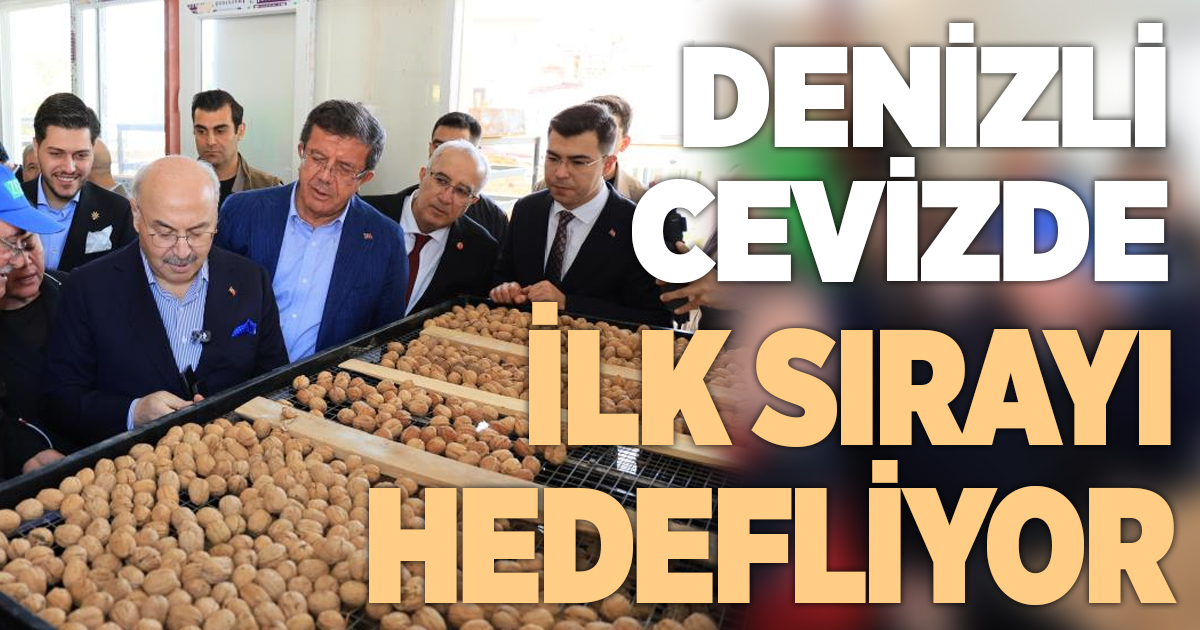 Çameli ceviz üretiminde Türkiye'de ilk sırayı hedefliyor